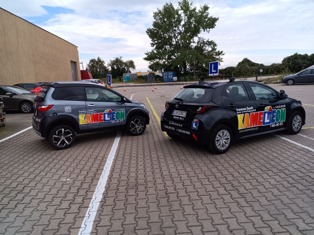 Zdjęcie z galerii