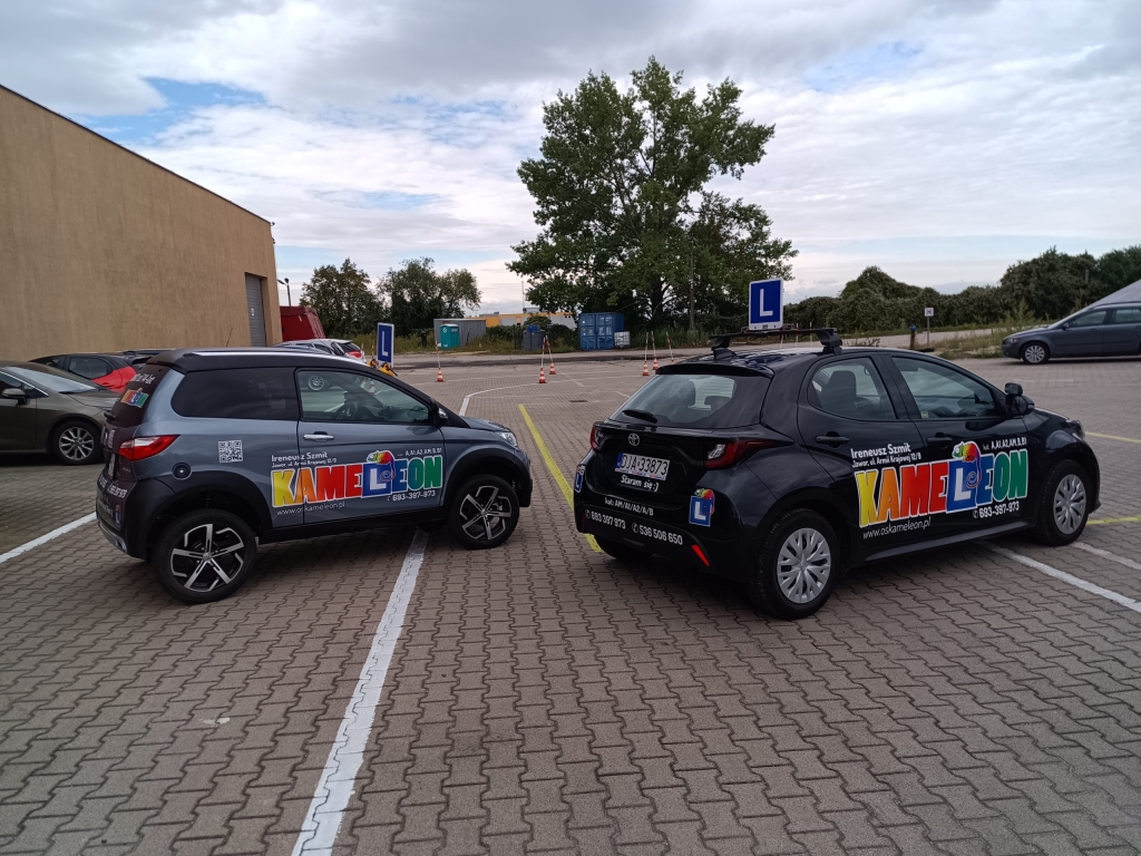 Zdjęcie z galerii