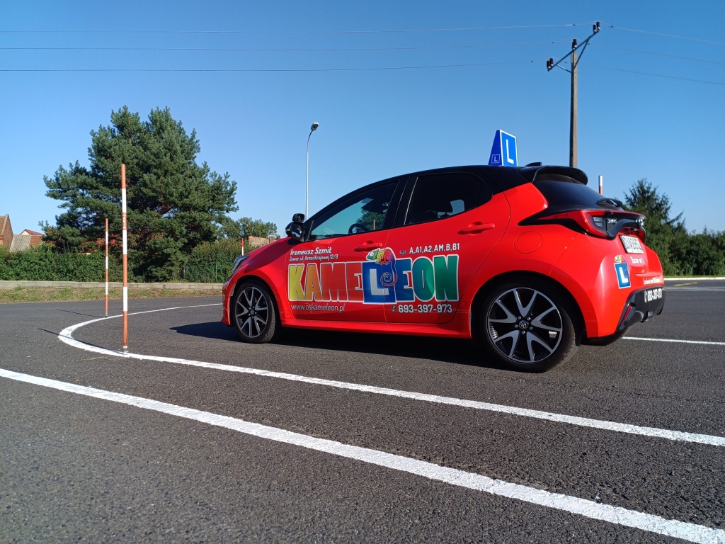 Zdjęcie z galerii